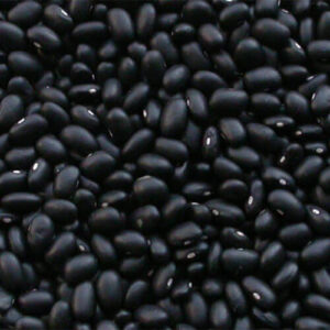 Black Kidney Beans