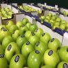 Apples - Image 2
