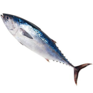 Tuna